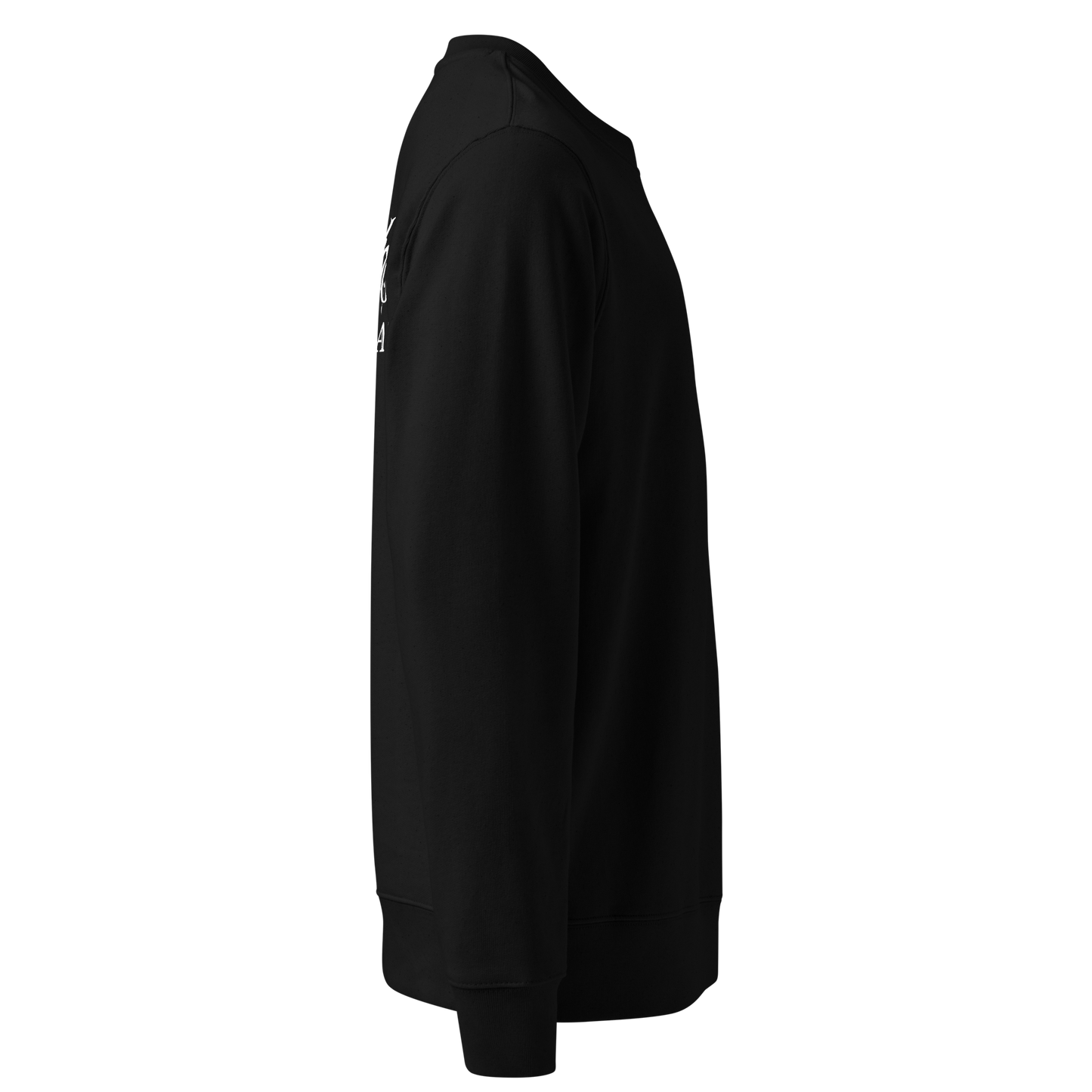 Misunderstood sweatshirt - Established
